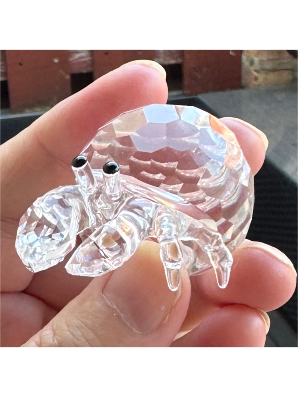 Swarovski Crystal Hermit Crab Art Figurine Aquatic Worlds 2”Collectible